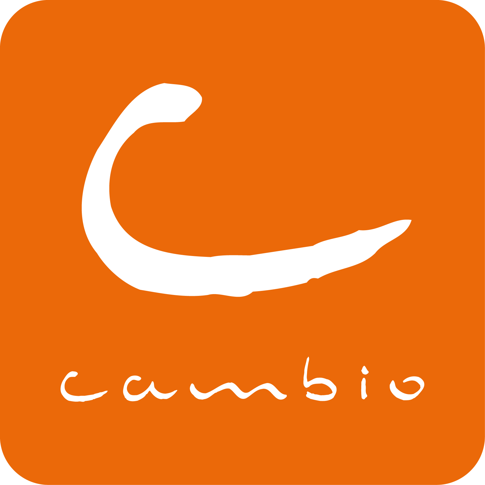 Cumbio